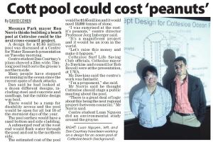 Cott pool could cost 'peanuts'