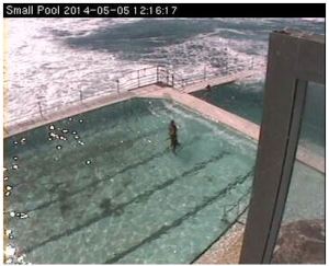 Bondi Iceberges pool cam